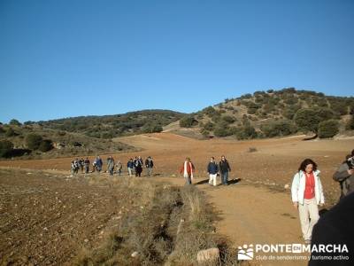 Cañón del Río Dulce y Sigüenza; grupos de trekking; madrid excursiones de un día